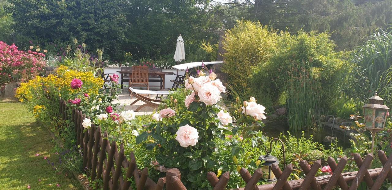 Ferienwohnung Duene Mit Kamin Und 2 Baedern In Boltenhagen ภายนอก รูปภาพ