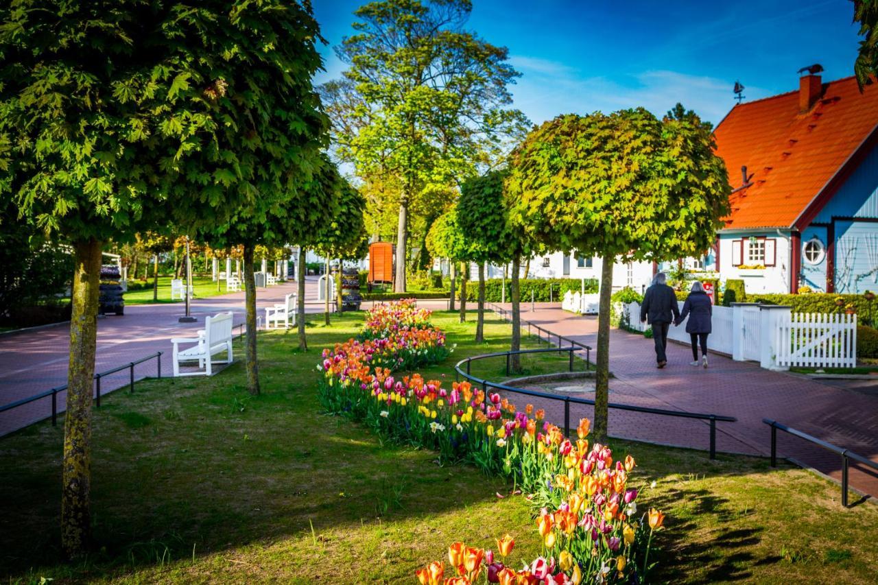 Ferienwohnung Duene Mit Kamin Und 2 Baedern In Boltenhagen ภายนอก รูปภาพ